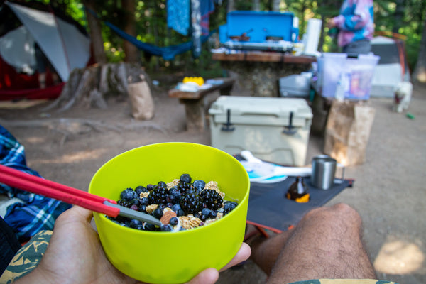 From Bush to Table: Hand-Picked Berry Recipes You’ll Want to Make