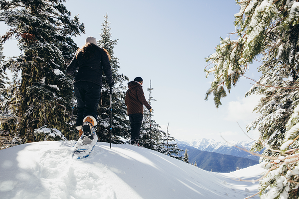 The Complete Guide to Snowshoeing