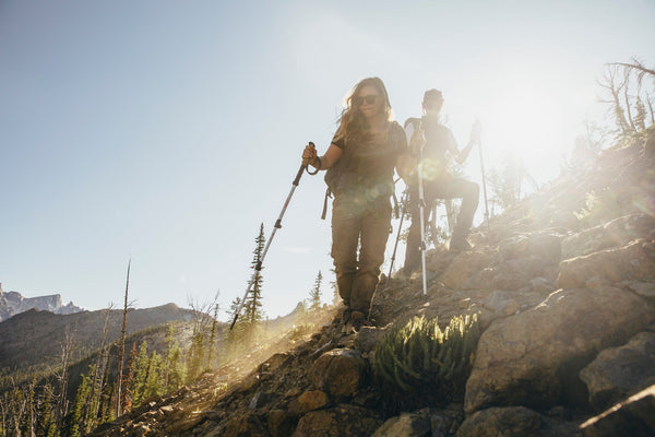 Trail Essentials: Everything You Need to Know About Trekking Poles