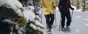 EXPEDITION OUTDOORS TREKKING POLES