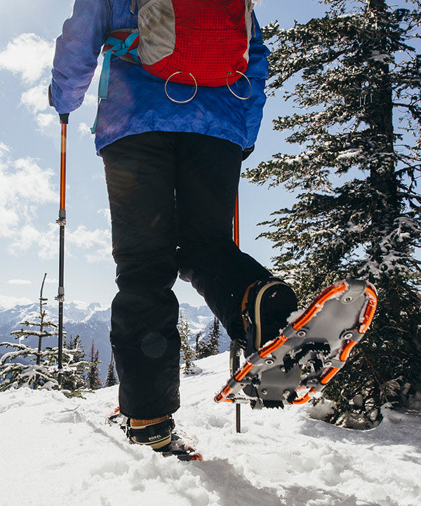 Replacement Bag - Folding Trekking Poles – Cascade Mountain Tech